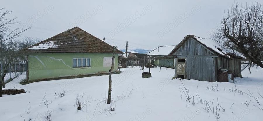 Casă cu 3 camere cu Teren 2500 Mp în Central