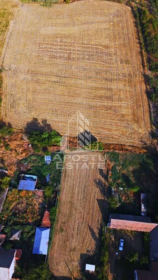 Teren Construcții intravilan de 13200 mp, în Foeni
