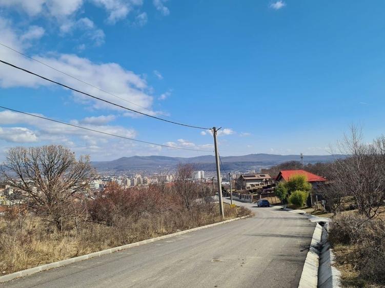 Teren de 9100 mp, în Petrișor