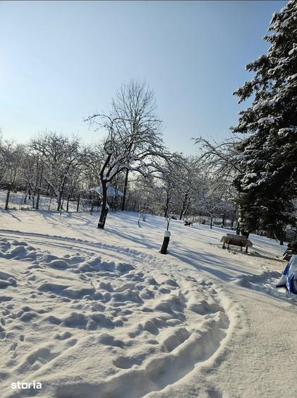 Teren de 2400 mp, în Central