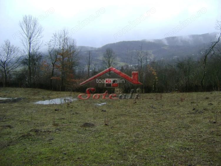 Teren de vanzare in Provita de jos