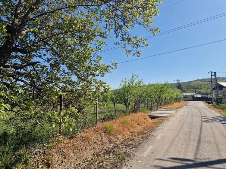 Teren de 1688 mp, în Călinești
