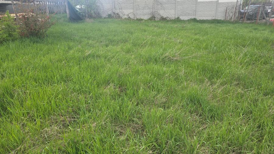 Teren Construcții intravilan de 400 mp, în Zăvoi
