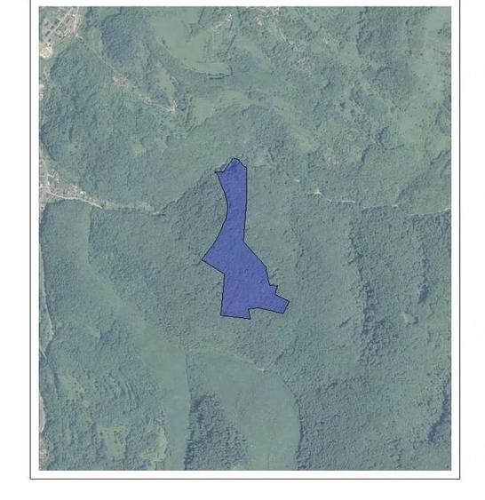 Teren de 100000 mp, în Central