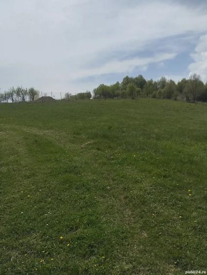Teren de 3774 mp, în Ghelari
