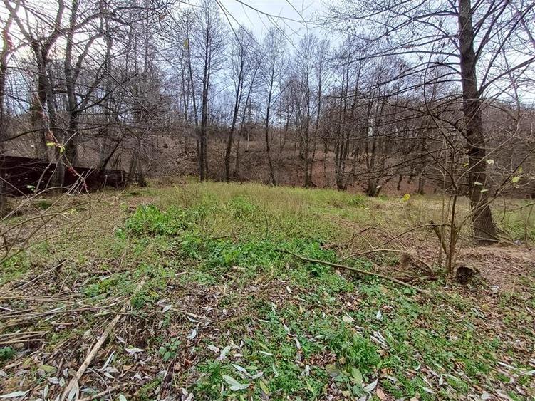 Teren Construcții intravilan de 1308 mp, în Govândari