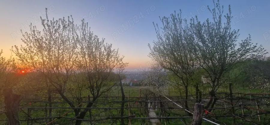 Casă cu 3 camere cu Teren 800 Mp în Bucium