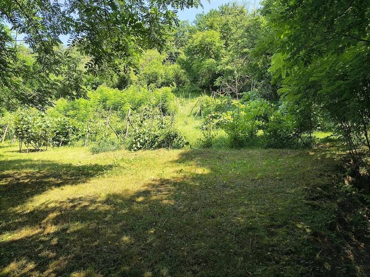 Teren de 5600 mp, în Valea Budului