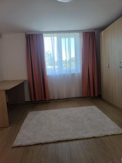 Casa de vanzare, foarte aproape de Lugoj - 6