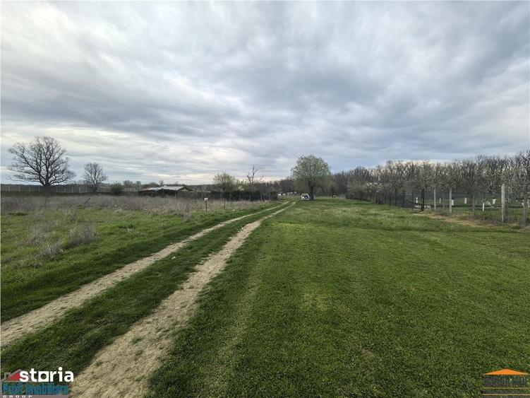 Teren de 440 mp, în Vladimirescu