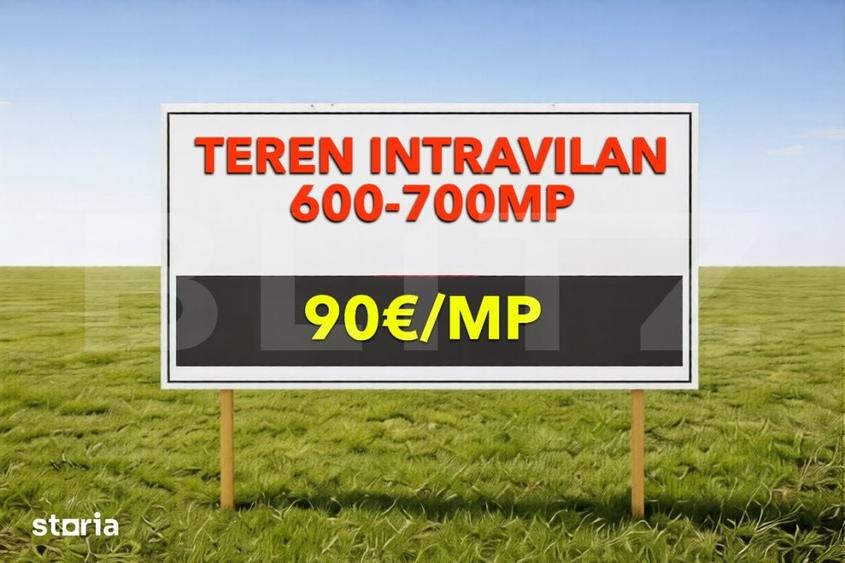 Teren intravilan 600700 mp cu utilitati Mosnita Noua - 1
