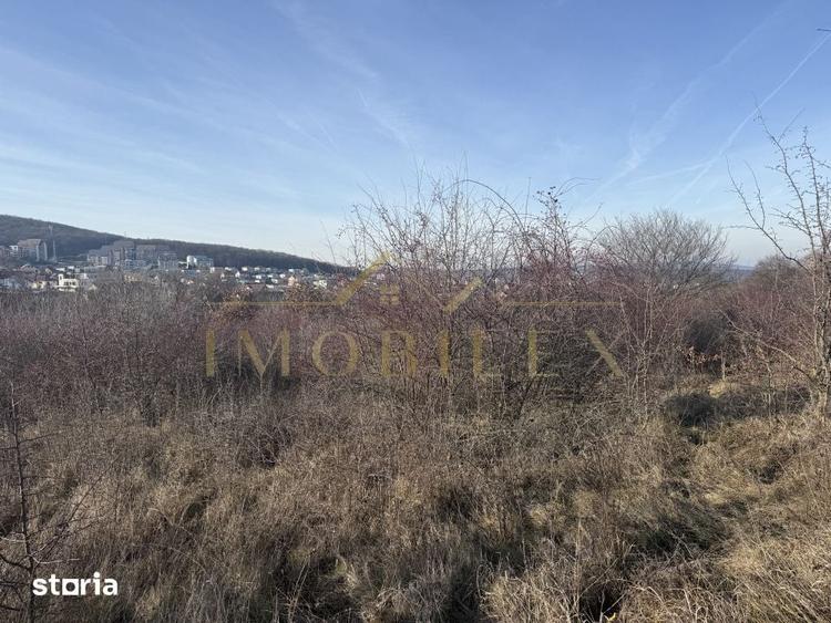 Teren de 4000 mp, în Europa