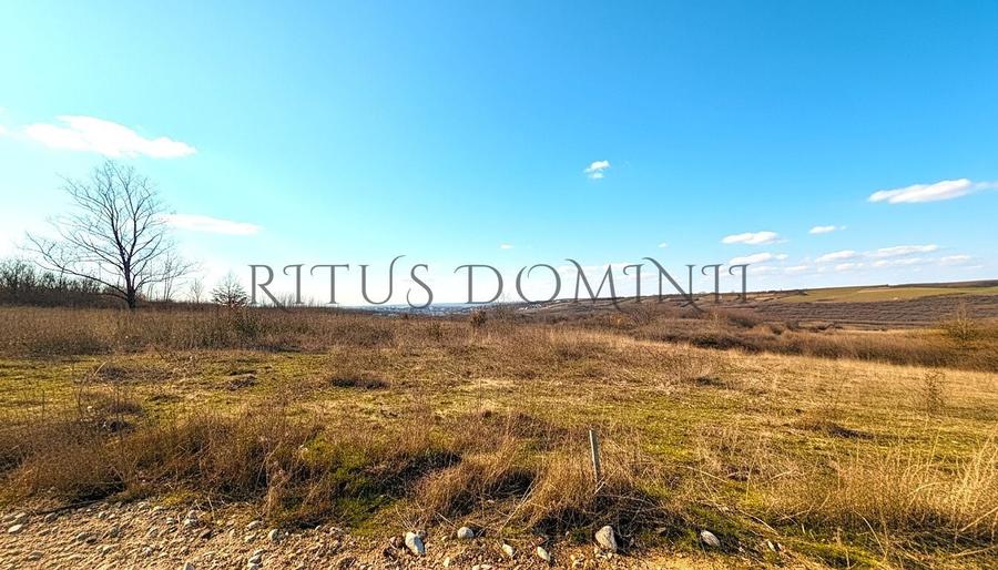 Teren Construcții intravilan de 8592 mp, în Paleu