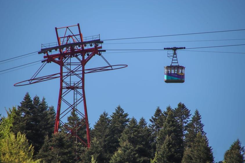 Teren Construcții intravilan de 700 mp, în Furnica