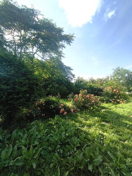 Casă cu 7 camere cu Teren 1000 Mp în Jilava