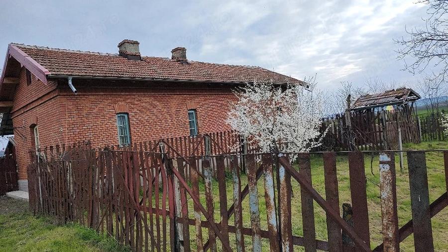 Casă cu Teren 5000 Mp în Central