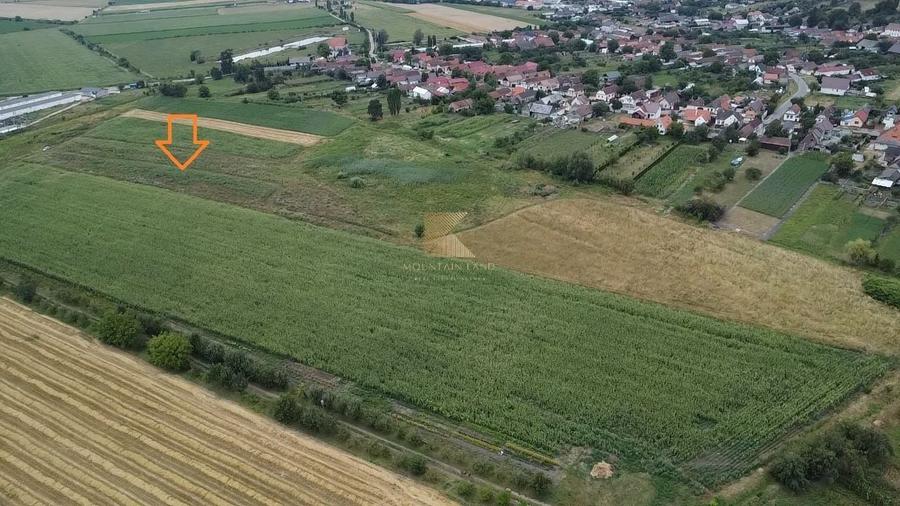 Teren Construcții intravilan de 20000 mp, în Bod