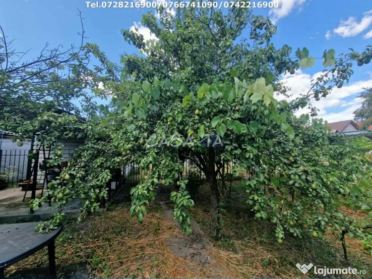 Casă cu 2 camere cu Teren 2554 Mp în Sănătești
