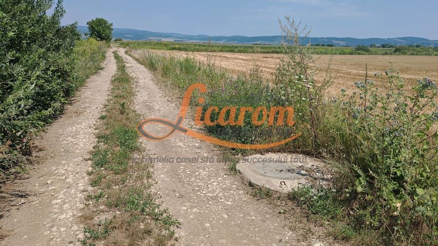 Teren Construcții intravilan de 38500 mp, în Feldioara
