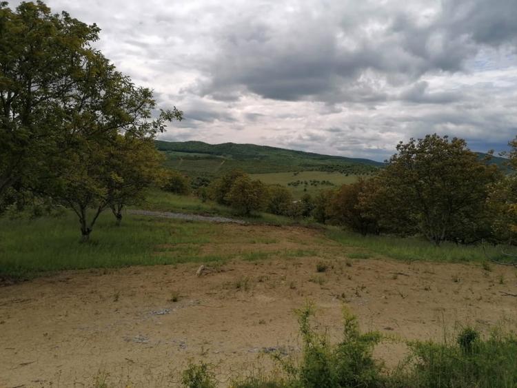 Teren Construcții extravilan de 747 mp, în Exterior Sud