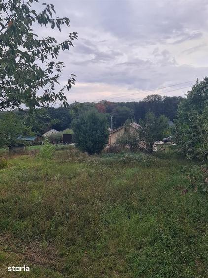 Teren de 818 mp, în Podgoria