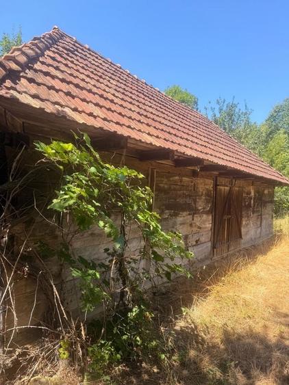Casă în Brusturi