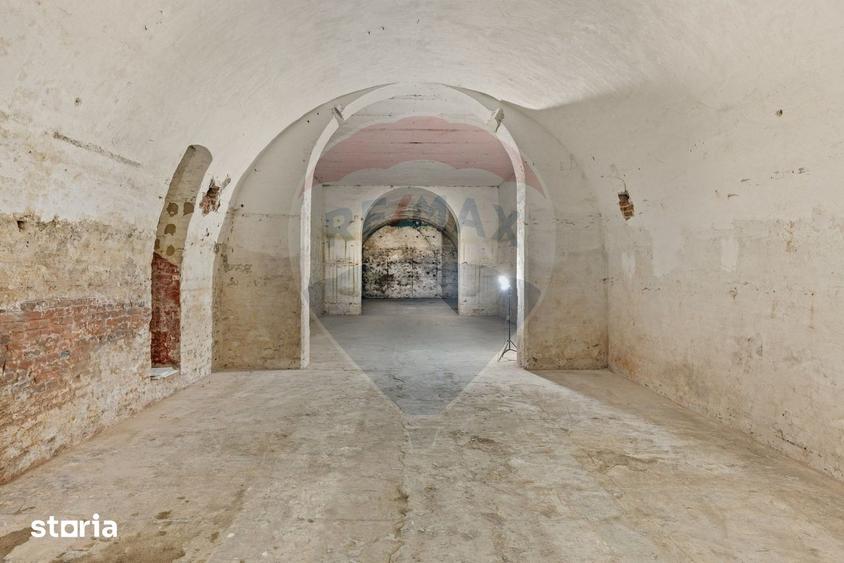 Spațiu comercial, de 450 mp, în Aradul Nou