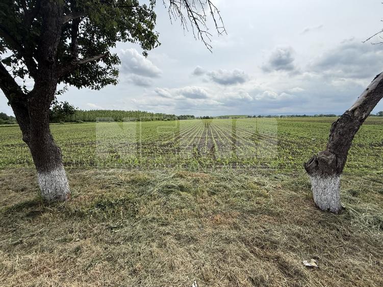 Teren agricol extravilan de 3750 mp, în Central