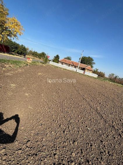 Teren intravilan de vanzare in Visini, jud. Calarasi