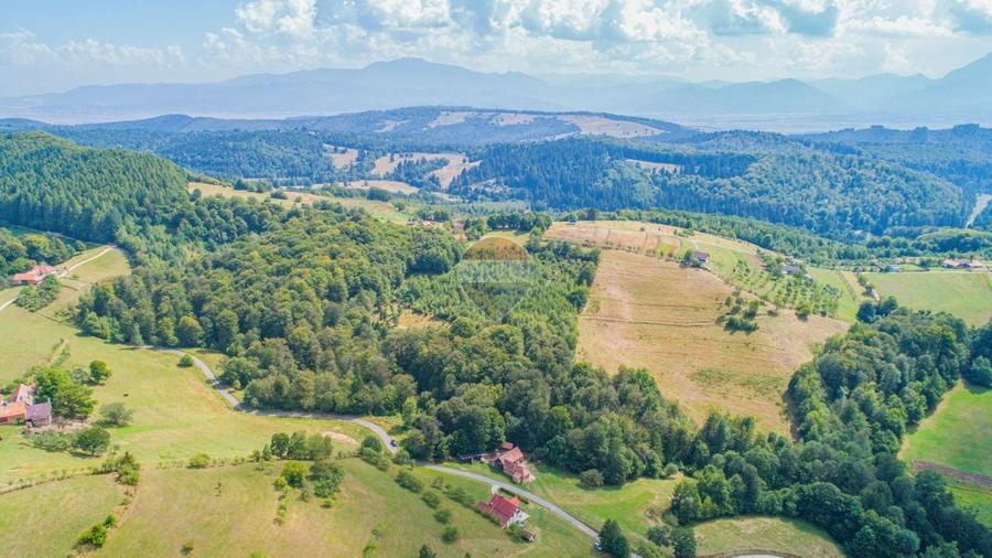 Teren agricol extravilan de 3906 mp, în Poiana Mărului