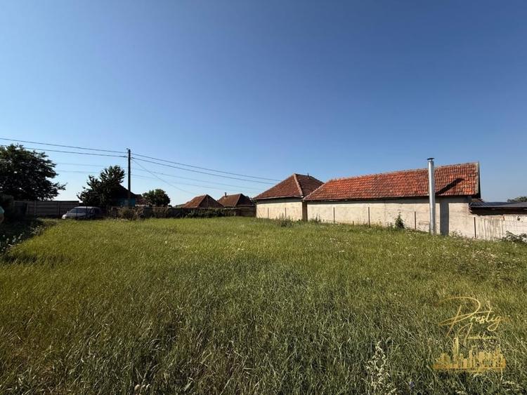 Teren Construcții intravilan de 3255 mp, în Tășad