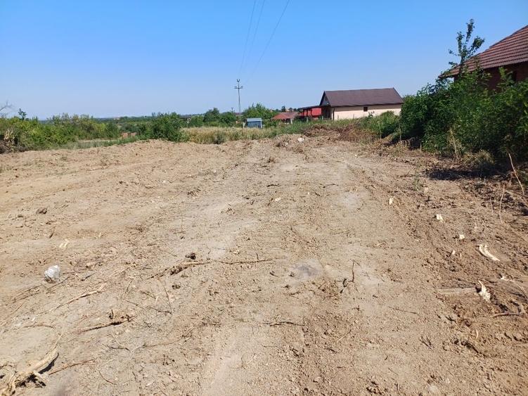 Teren Construcții intravilan de 500 mp, în Viile Satu Mare