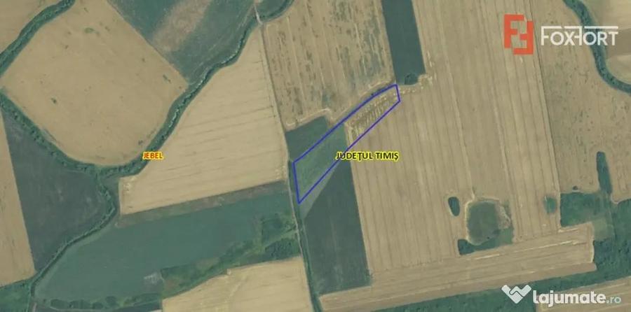Teren agricol extravilan de vanzare, 2,69 hectare - Jebel Ti - Jebel (Timis) - 3