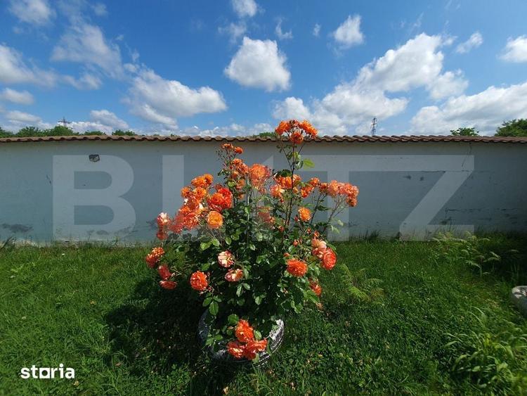 Casă cu 5 camere cu Teren 2022.35 Mp în Răzvad