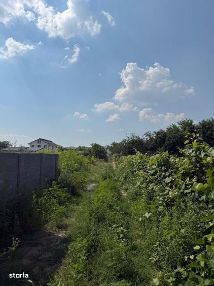 Spațiu comercial, în Preajba