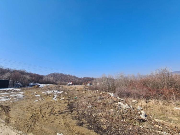 Teren de 9100 mp, în Petrișor