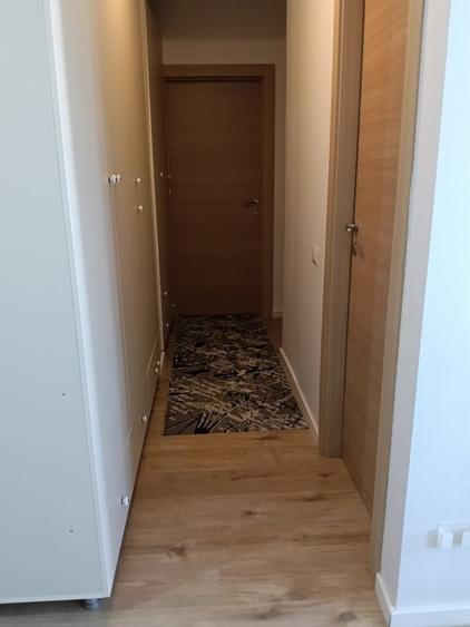 Apartament cu 3 camere decomandat în Olteni