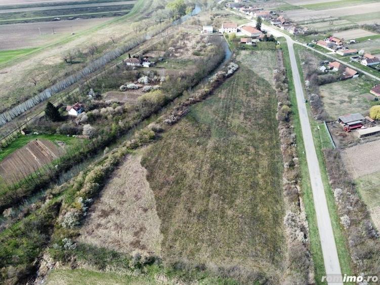 Teren de 22500 mp, în Balinț