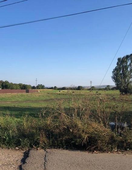 Teren Construcții intravilan de 12200 mp, în Central