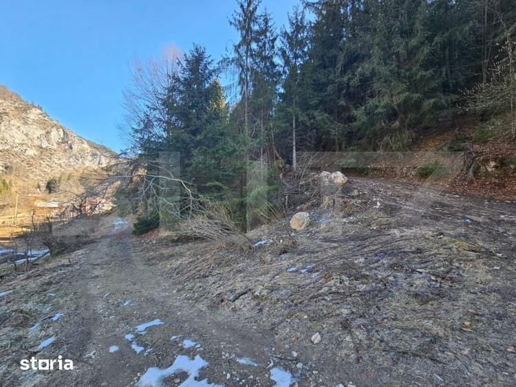 Teren de 2977 mp, în Scărișoara