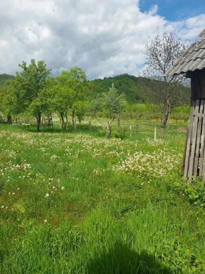 Casă cu 4 camere în Berbești