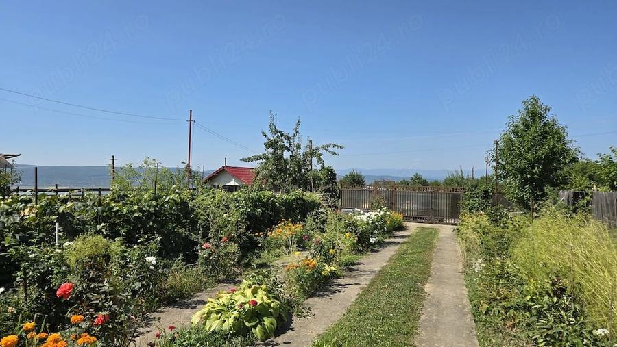 Casă cu Teren 6000 Mp în Racova