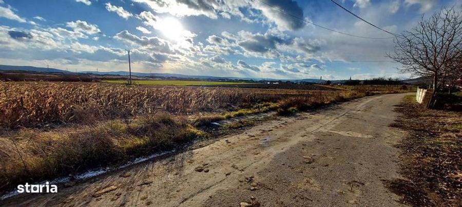 Teren de 750 mp, în Cuzdrioara