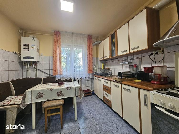 Apartament cu 3 camere în Gojdu