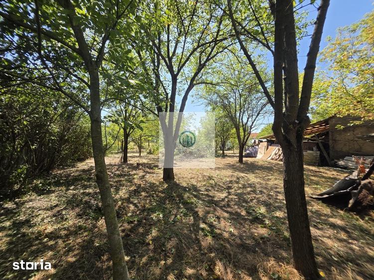 Casa cu teren 2.340 mp ?i toate utilita?ile, Santandrei, 5 min de Deva - 15