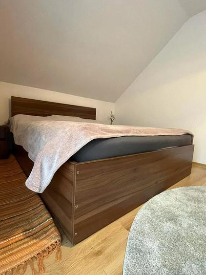 Casă cu 4 camere cu Teren 1200 Mp în Săldăbagiu de Munte
