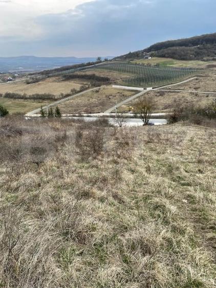 Teren Construcții intravilan de 1525 mp, în Exterior Est