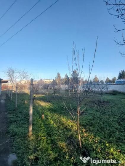 Casă cu 7 camere cu Teren 3800 Mp în Albert