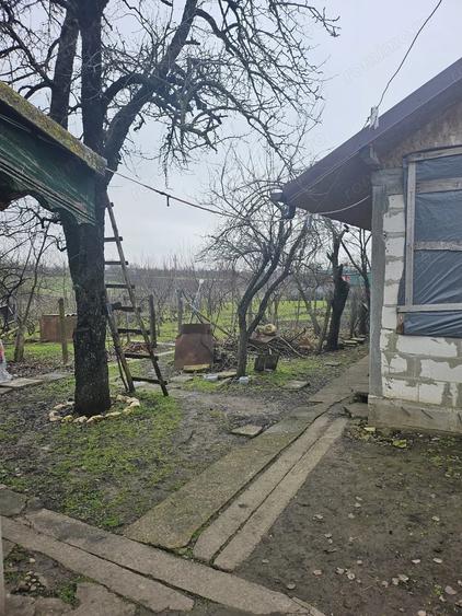 Casă cu Teren 1964 Mp în Vâlcelele