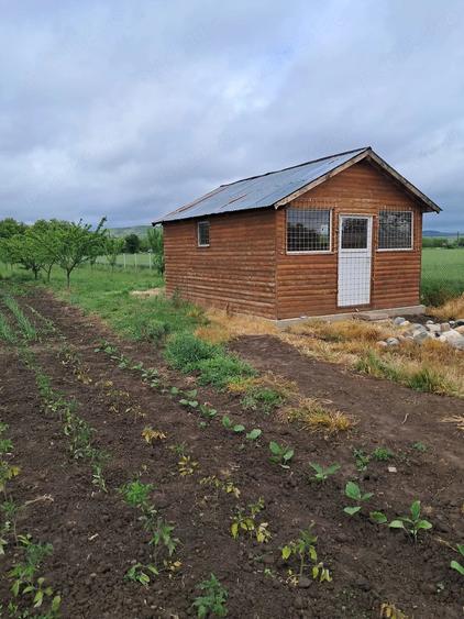 Casă cu 2 camere în Exterior Vest